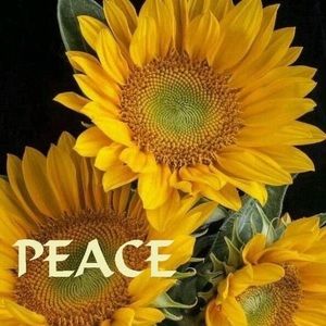 Meet your Posher, Lesley